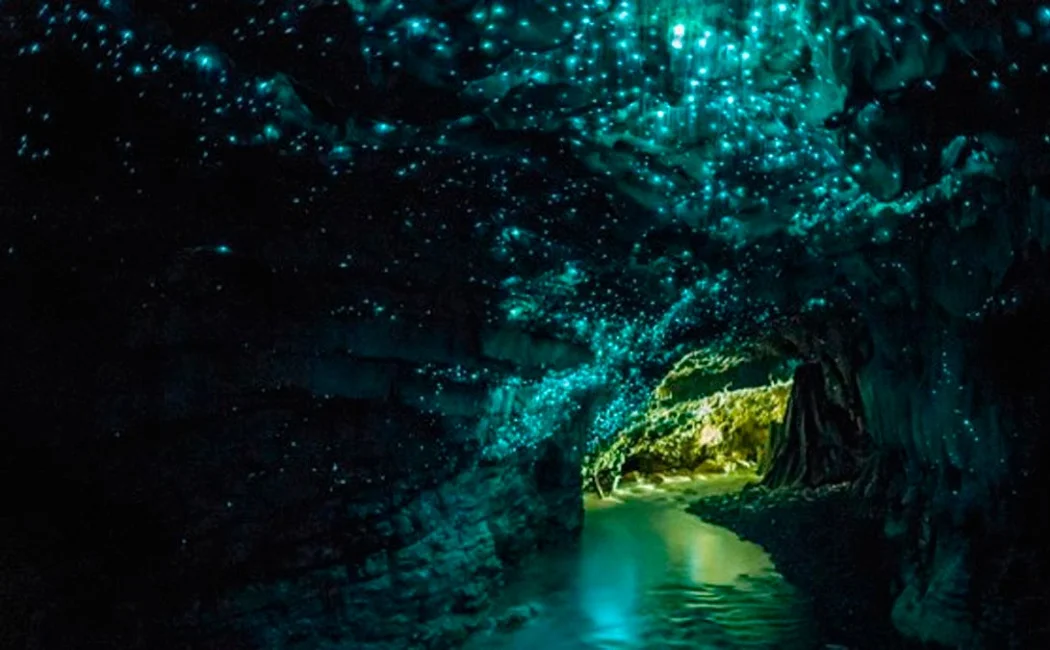 Cuevas de Waitomo, cuevas, lugares más bellos del mundo, naturaleza salvaje 1